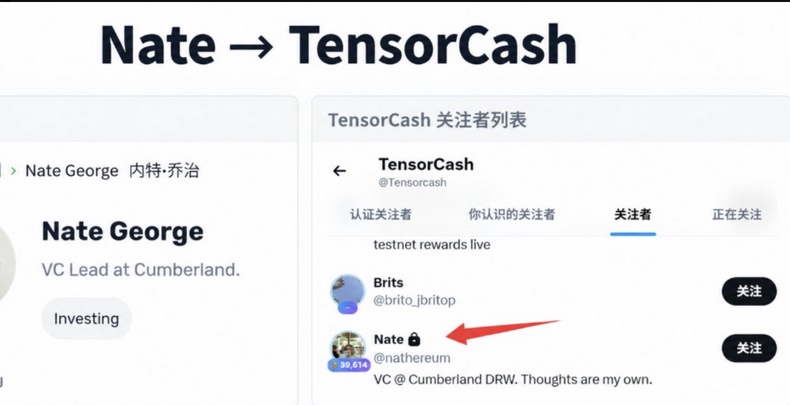 Composite from @100XInsight: left, Nate George's profile reading 'VC Lead at Cumberland'; right, TensorCash's followers tab with @nathereum — 'VC @ Cumberland DRW' — highlighted by a red arrow